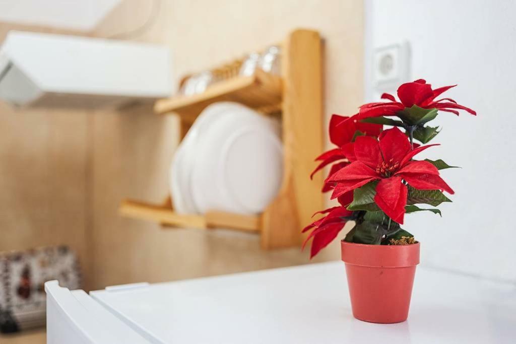Apartamento Centro Vejer مْبيخير ذي لا فرونتيرا المظهر الخارجي الصورة